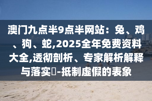 澳門九點(diǎn)半9點(diǎn)半網(wǎng)站：兔、雞、狗、蛇,2025全年免費(fèi)資料大全,透徹剖析、專家解析解釋與落實(shí)?-抵制虛假的表象